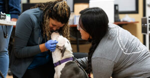 PetSmart Charities making veterinary care more accessible