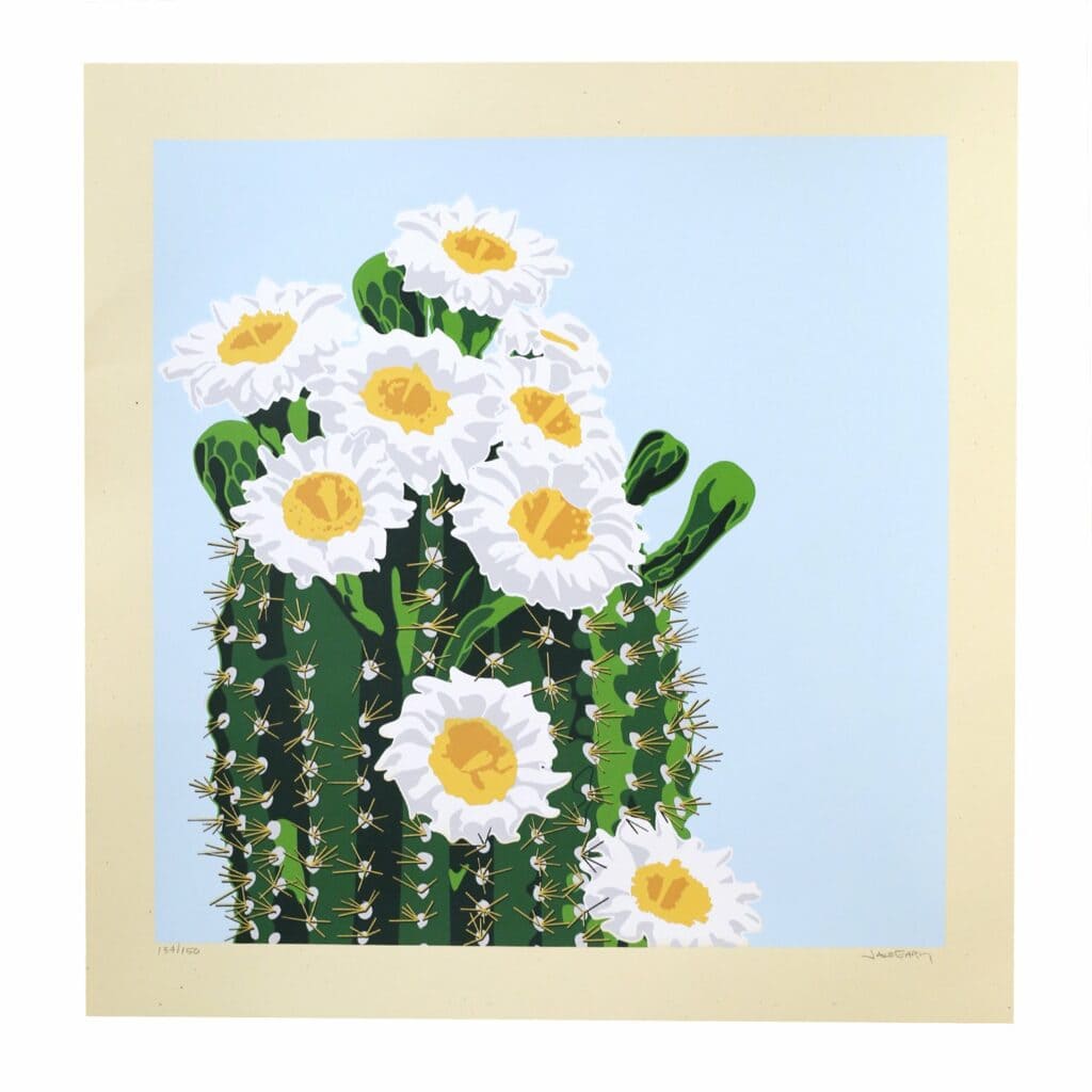 Jake Early Saguaro